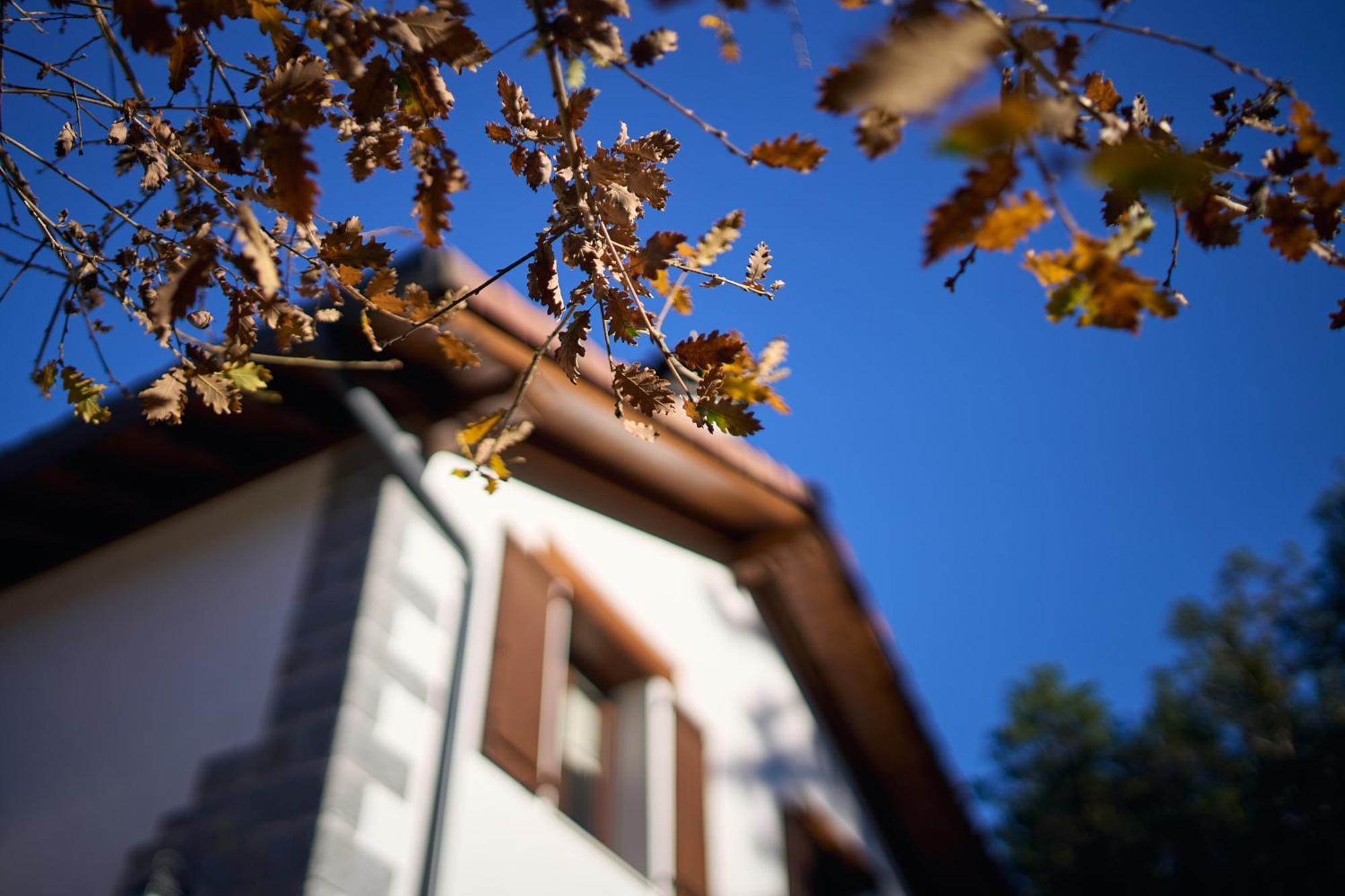 Arpetxea Casa Rural ロンカル エクステリア 写真